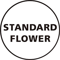 大分市中央町にある花屋、STANDARD FLOWERです。